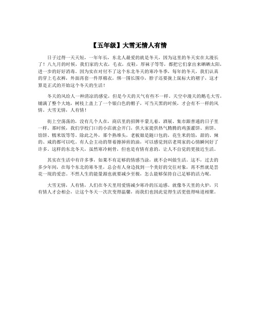 【五年级】大雪无情人有情
