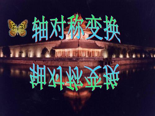 轴对称的变换