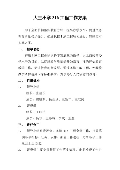 316工程实施方案