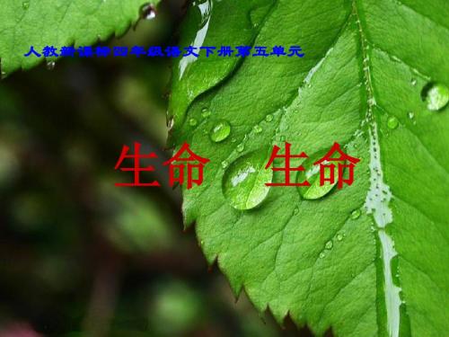 人教新课标四年级语文下册《生命 生命》PPT课件