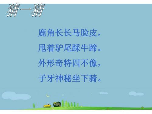 17麋鹿1、2课时课件(六年级上册)