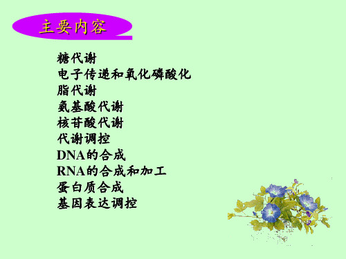 第1章代谢总论(1)PPT课件