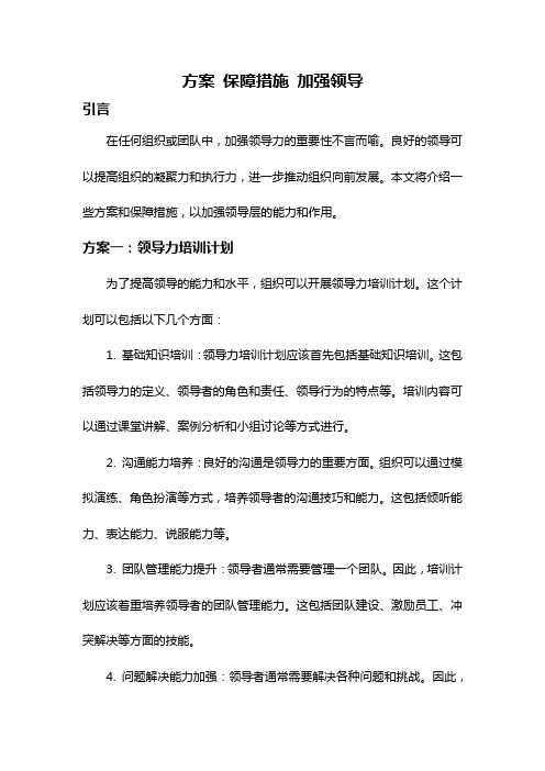 方案 保障措施 加强领导