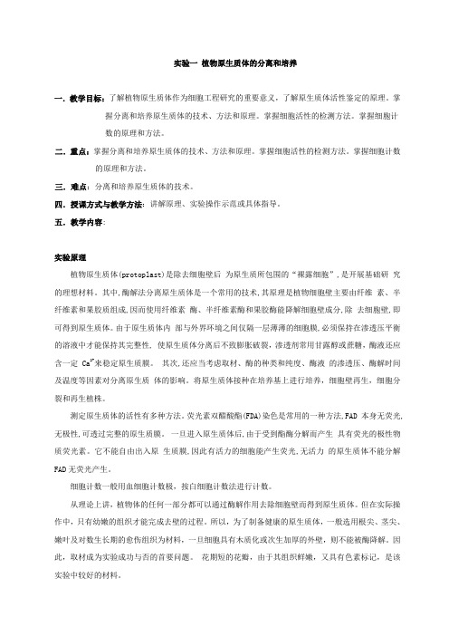 细胞生物学实验