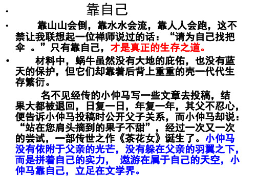 蜗牛靠自己---例文