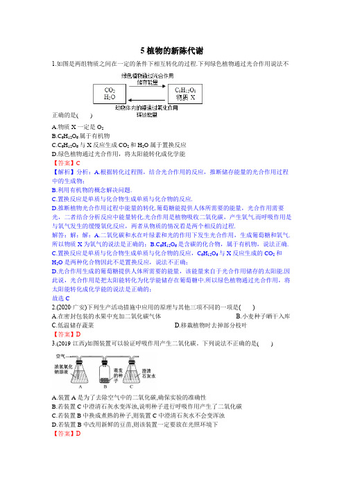 5.植物的代谢(解析版)