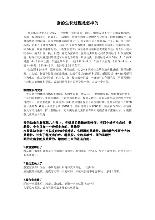 蚕的生长过程是怎样的