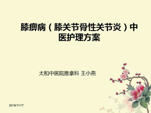 膝痹病中医护理方案精品PPT课件