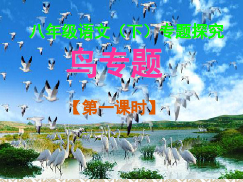 【书路友讲堂】苏教版八年级语文下鸟专题课件01