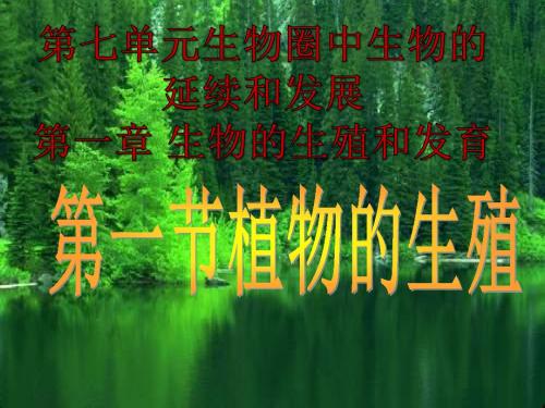 【初中生物】植物的生殖PPT课件23
