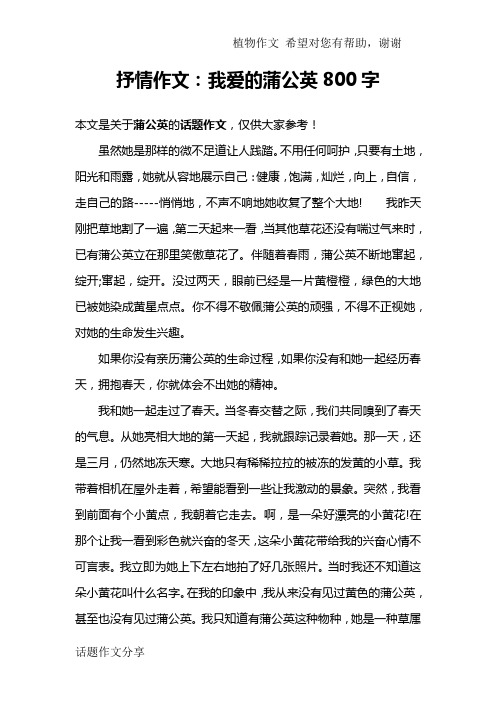 抒情作文：我爱的蒲公英800字