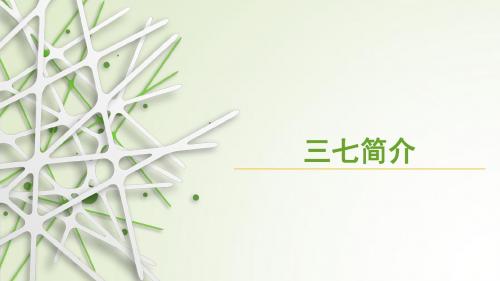 演示文稿
