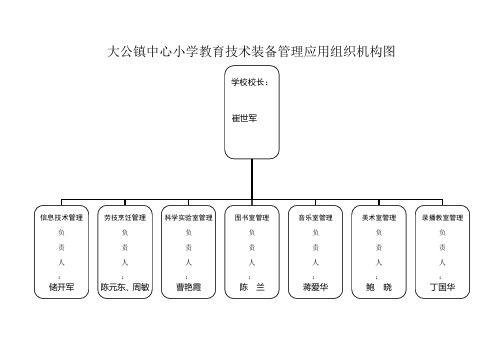 大公中心小学教育技术装备管理应用组织机构