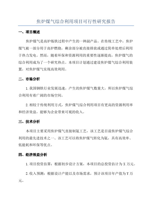 焦炉煤气综合利用项目可行性研究报告