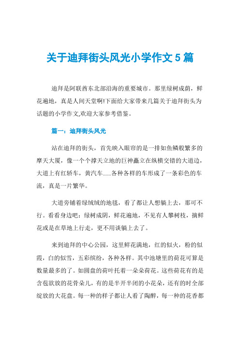 关于迪拜街头风光小学作文5篇