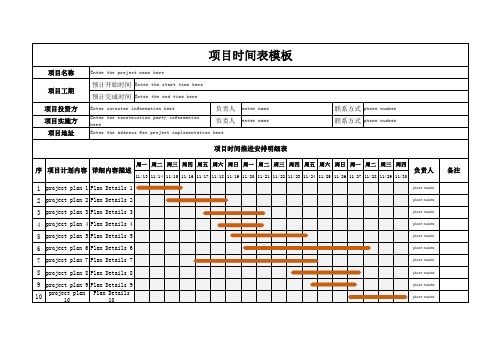 项目时间表模板