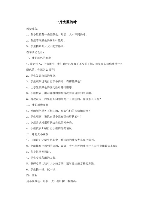 一片完整的叶 - 龙岗教研网