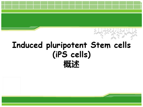 Induced pluripotent Stem cells (iPS cells) 概述