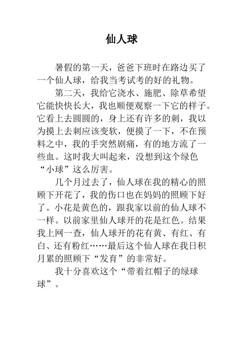仙人球_1