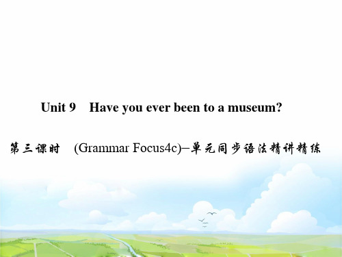 八年级英语下册Unit9Haveyoueverbee第三课时语法精讲精练课件