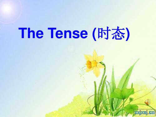 The Tense(一般现在、过去时和将来时态)
