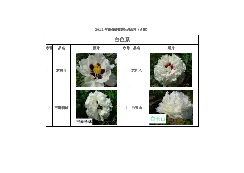 2012年最权威紫斑牡丹品种(含图)