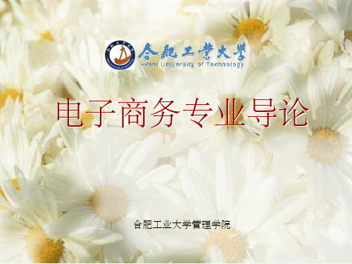 《电子商务专业导论》PPT课件