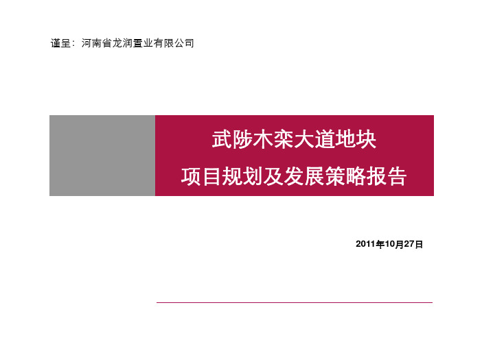 武陟木栾大道地块项目规划及发展策略报告_538473