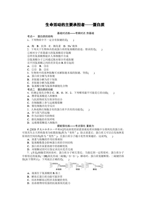 高中生物一轮复习精致习题-蛋白质(答案)