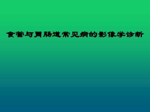 食管与胃肠道常见病影像学诊断