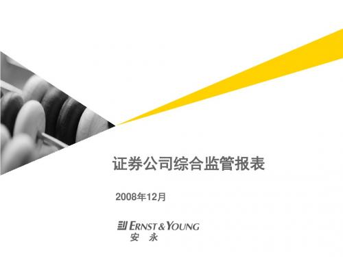 证券公司综合监管报表