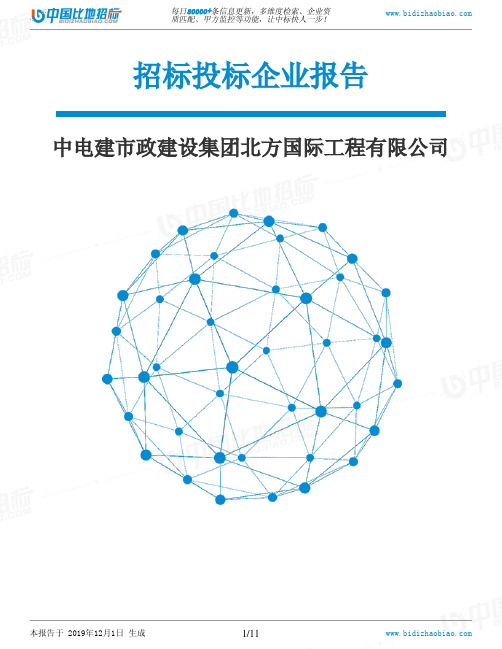 中电建市政建设集团北方国际工程有限公司-招投标数据分析报告