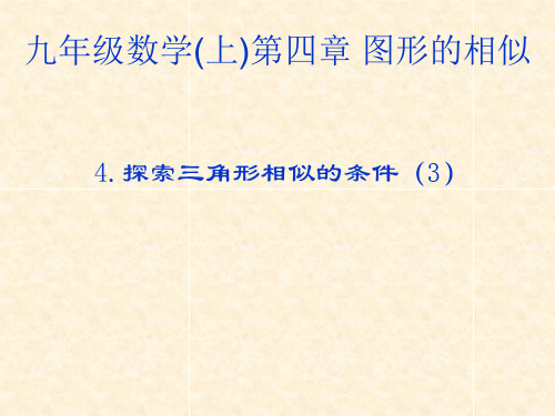 精编课件北师大版九年级数学上册课件4.4.3探索三角形相似的条件(共20张PPT)