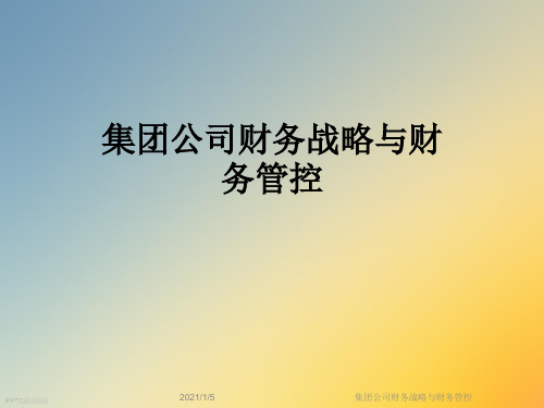 集团公司财务战略与财务管控