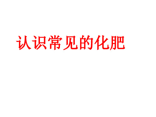 人教版化学九下11.2化学肥料课件(共19张PPT)