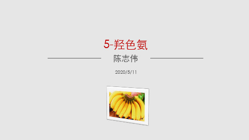 5-HT