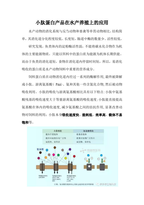 小肽在水产动物饲料中的应用