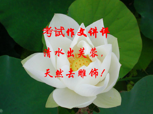 作文讲评ppt