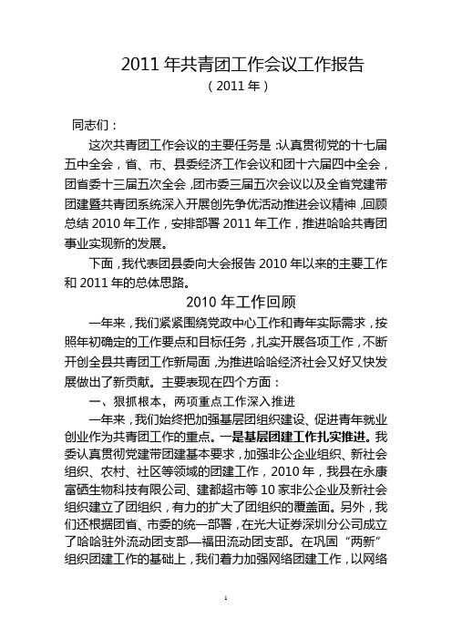 2011年共青团工作会议工作报告