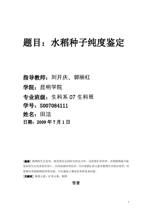 水稻种子的纯度鉴定