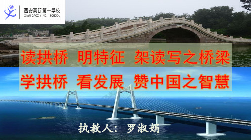 语文人教版(部编)八年级上册《17中国石拱桥》课件公开课(2)