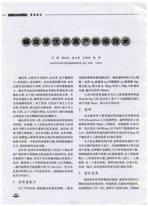 蛹虫草优质高产栽培技术