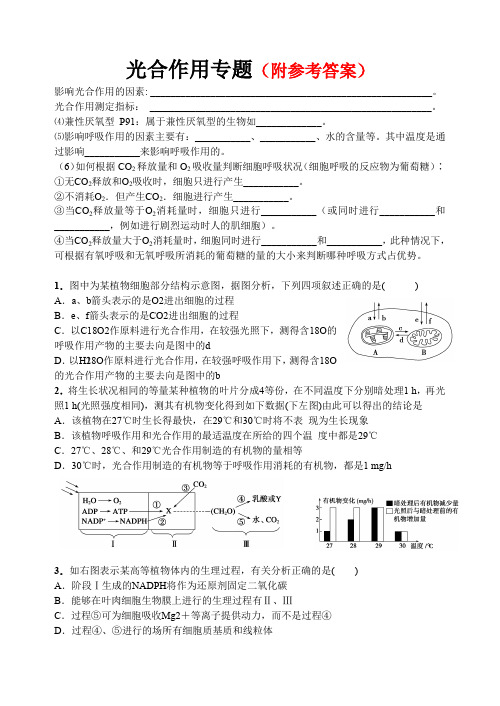 高考生物复习：光合作用与呼吸作用专题训练