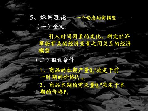 蛛网模型