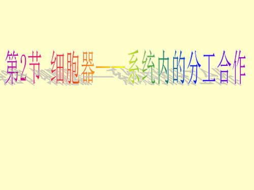 细胞器知识点