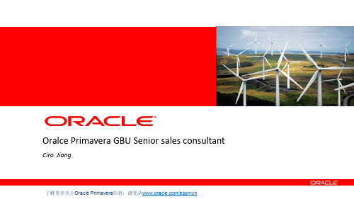 Oracle Primavera 解决方案