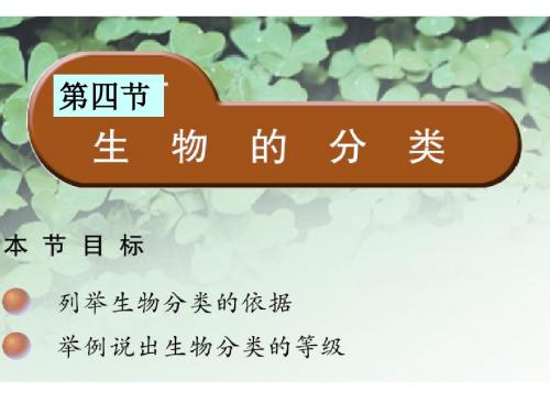 10.12生物的分类(课件)