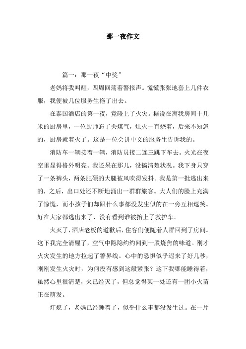 那一夜作文