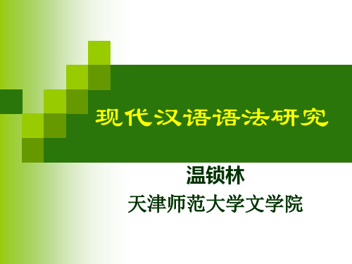 现代汉语语法研究(四)
