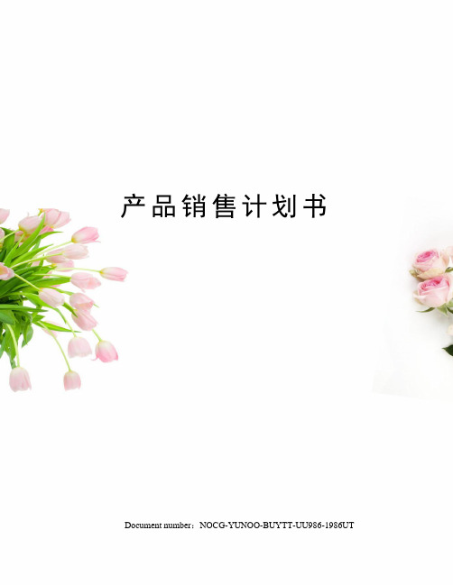 产品销售计划书